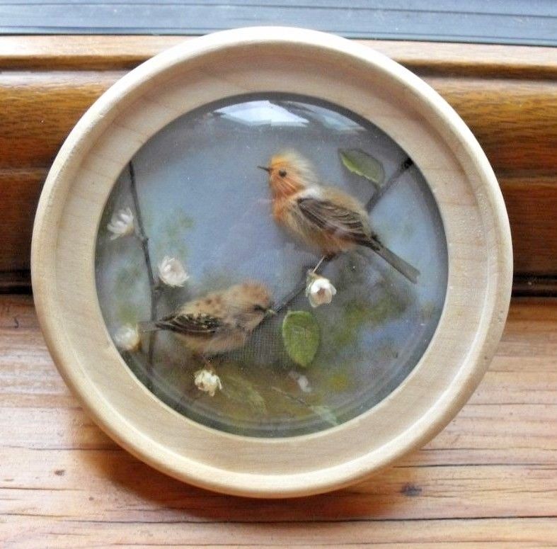Robin and Young (Version 2) (5-inch)